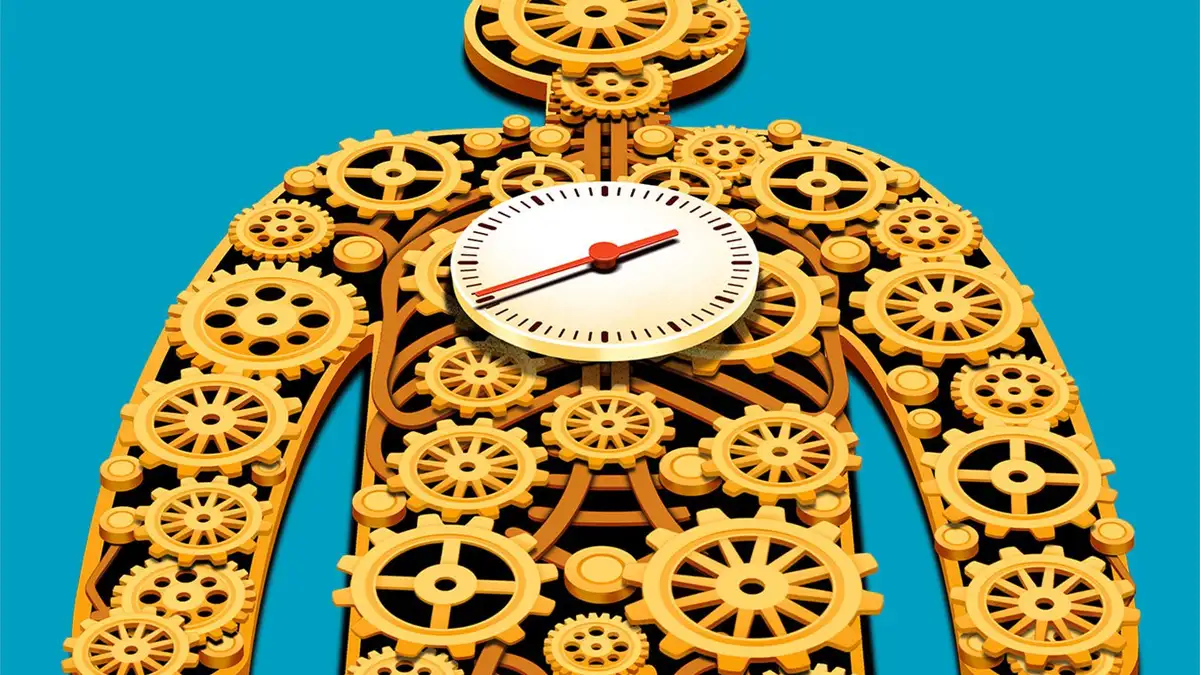 Fueling the Focus: Strategies for Sustained Mental Clarity Through Meal Timing